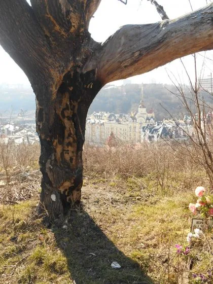 Не чарівник