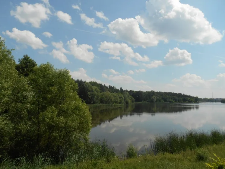Неоціненність щастя у його дивовижній безмежності — фото 5