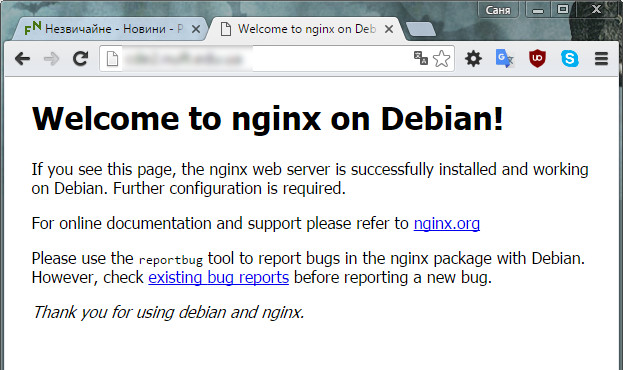 Успішна інсталяція nginx